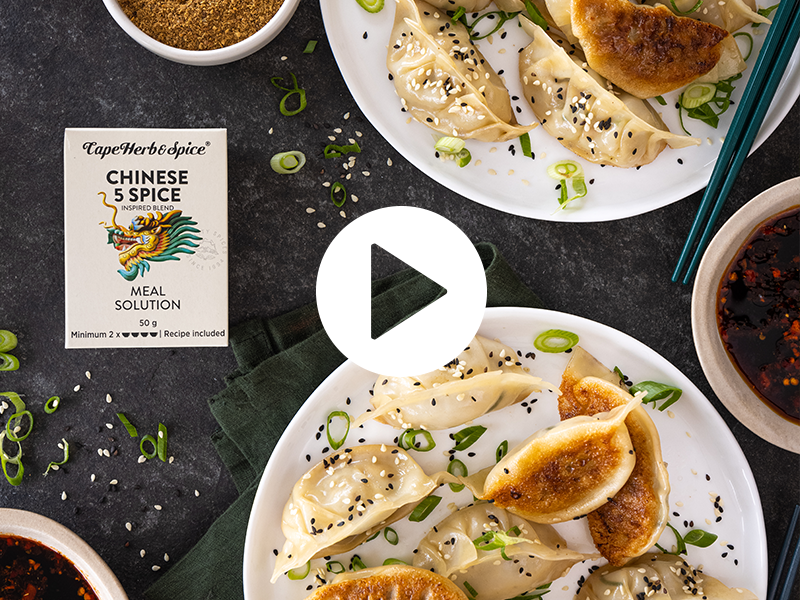 PORK POT STICKERS